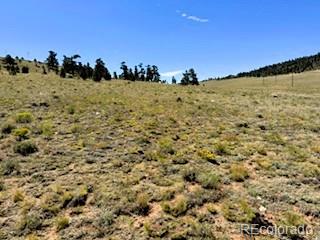 Lot 5556 Shavano Trail Hartsel CO 80449