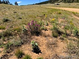 Lot 5556 Shavano Trail Hartsel CO 80449