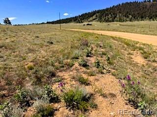 Lot 5556 Shavano Trail Hartsel CO 80449