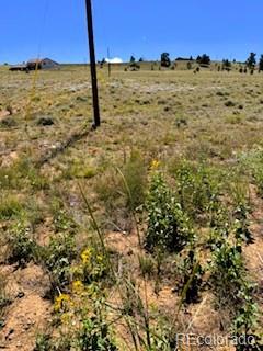 Lot 5556 Shavano Trail Hartsel CO 80449