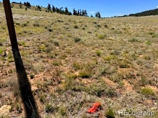 Lot 5556 Shavano Trail Hartsel CO 80449