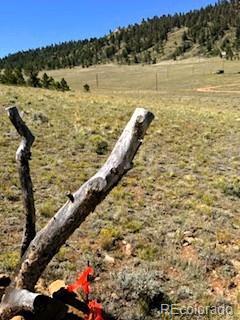 Lot 5556 Shavano Trail Hartsel CO 80449