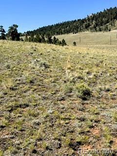 Lot 5556 Shavano Trail Hartsel CO 80449
