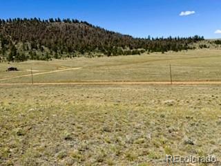 Lot 5556 Shavano Trail Hartsel CO 80449