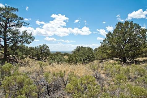 711 Cedarwood Ol Crestone CO 81131