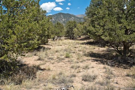 711 Cedarwood Ol Crestone CO 81131