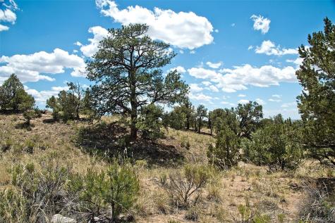 711 Cedarwood Ol Crestone CO 81131