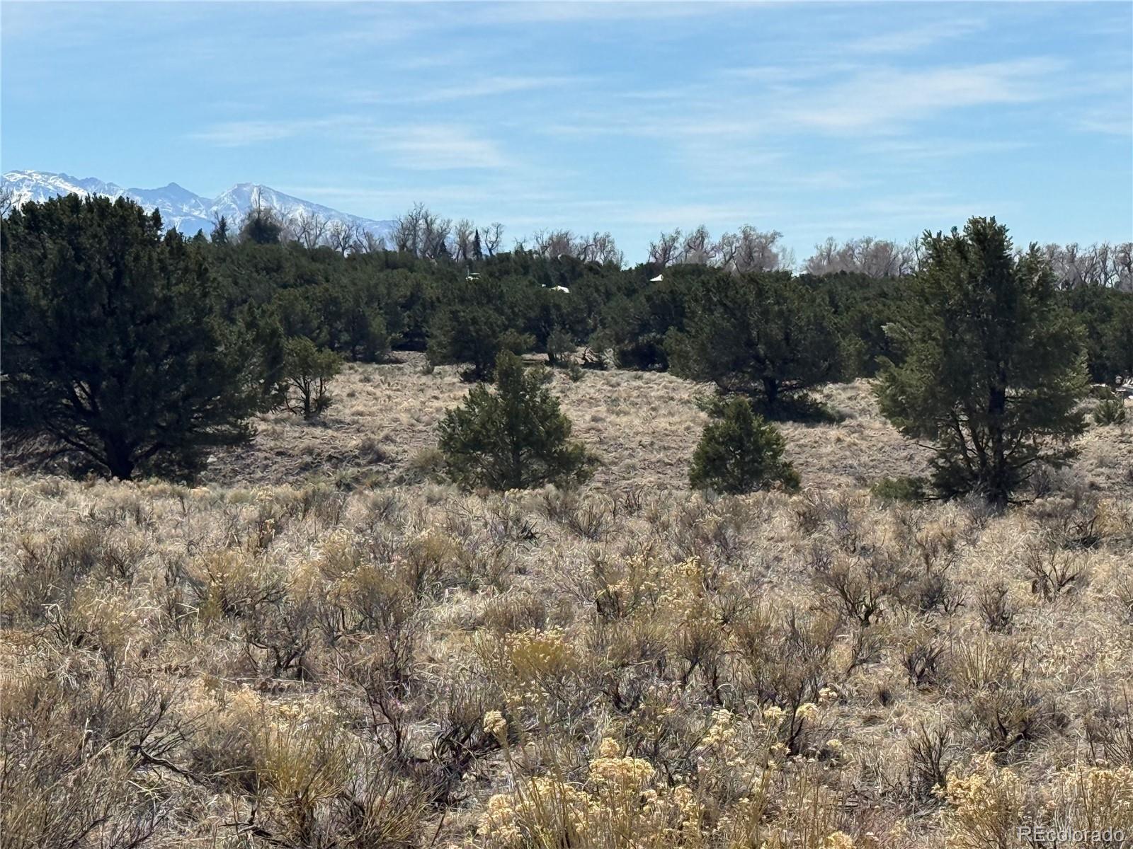 2021 Lost Cave Way Crestone CO 81131