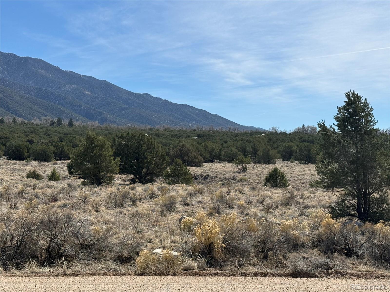 2021 Lost Cave Way Crestone CO 81131