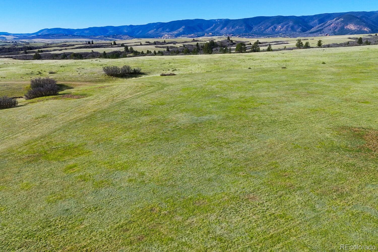 5250 Tall Horse Trail Sedalia CO 80135