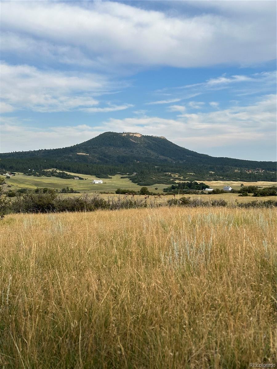 5250 Tall Horse Trail Sedalia CO 80135