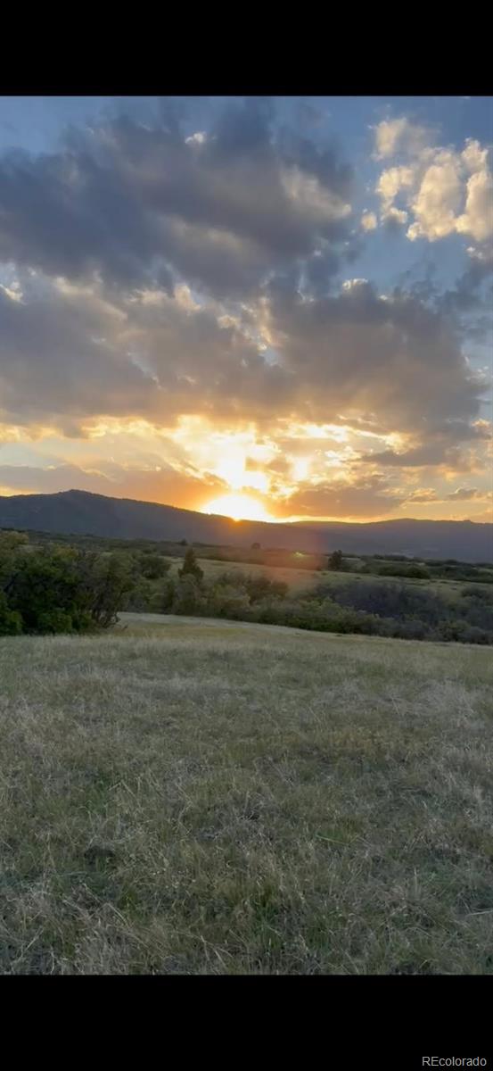 5250 Tall Horse Trail Sedalia CO 80135