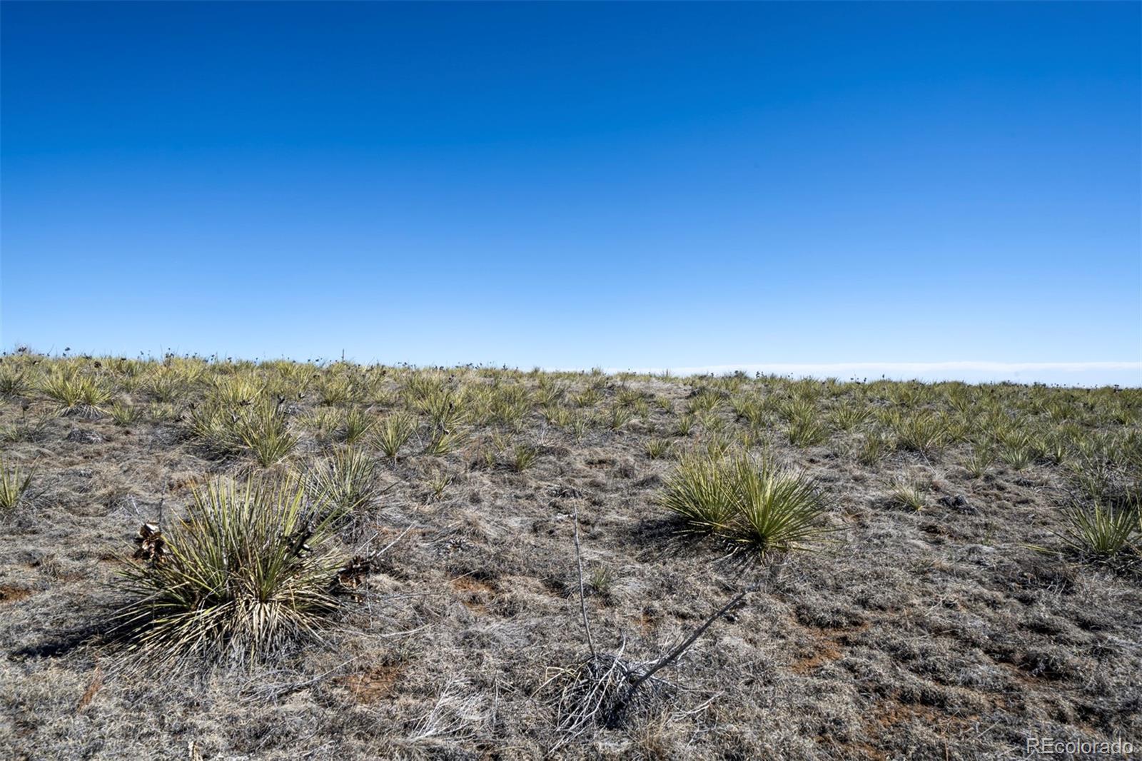 36420 Wagner Lane Calhan CO 80808