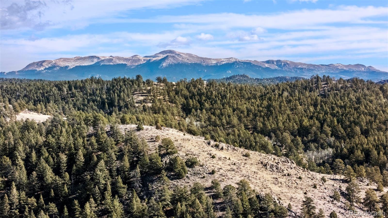 0 County Road 12 Florissant CO 80816