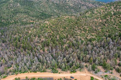 29 Overlook Road Cotopaxi CO 81223