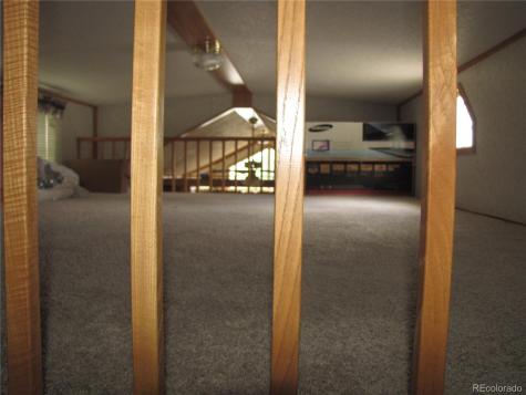 161 Tressel Trail Hartsel CO 80449