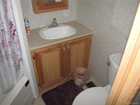 161 Tressel Trail Hartsel CO 80449