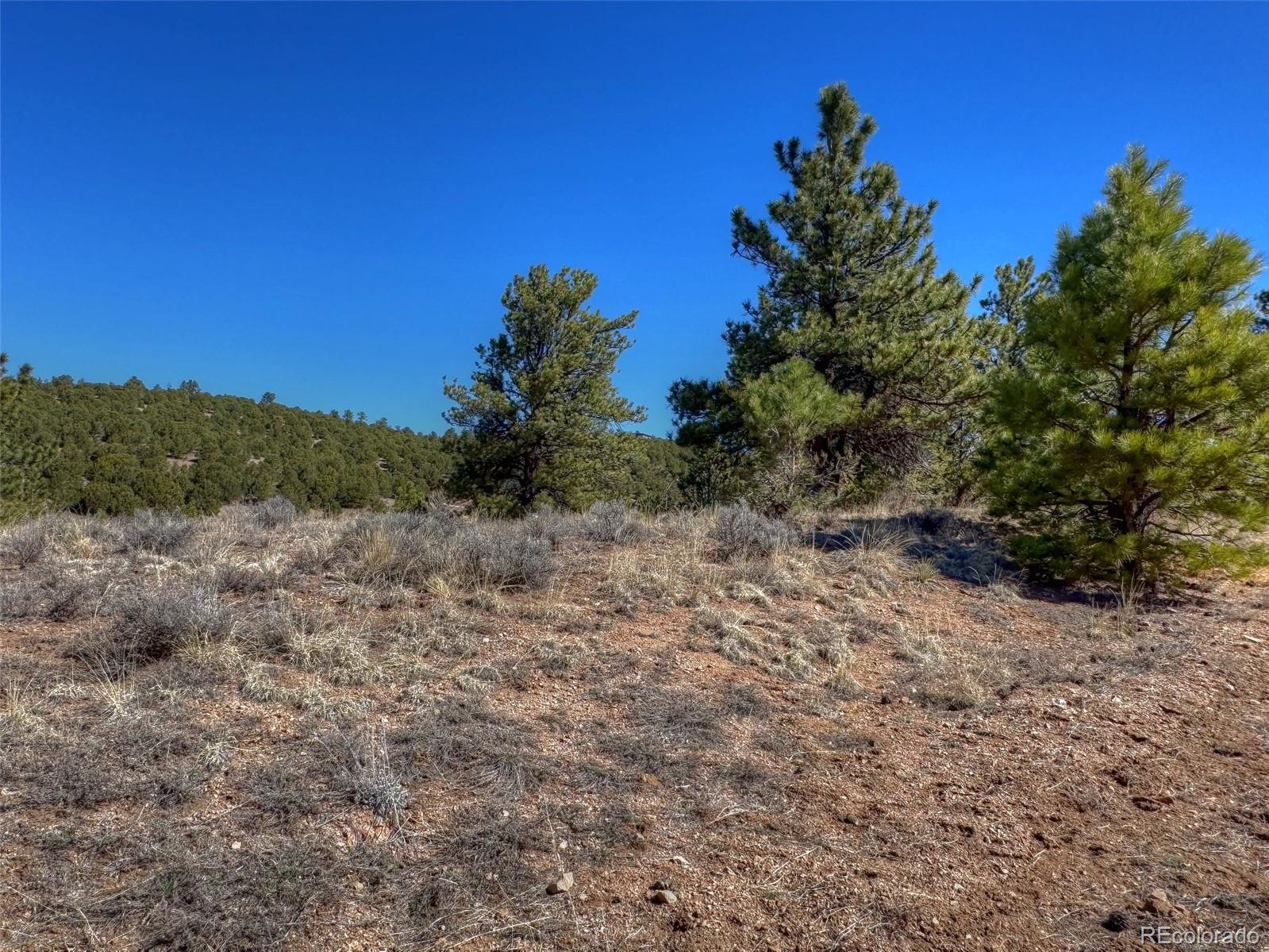 885 Crow Road Westcliffe CO 81252