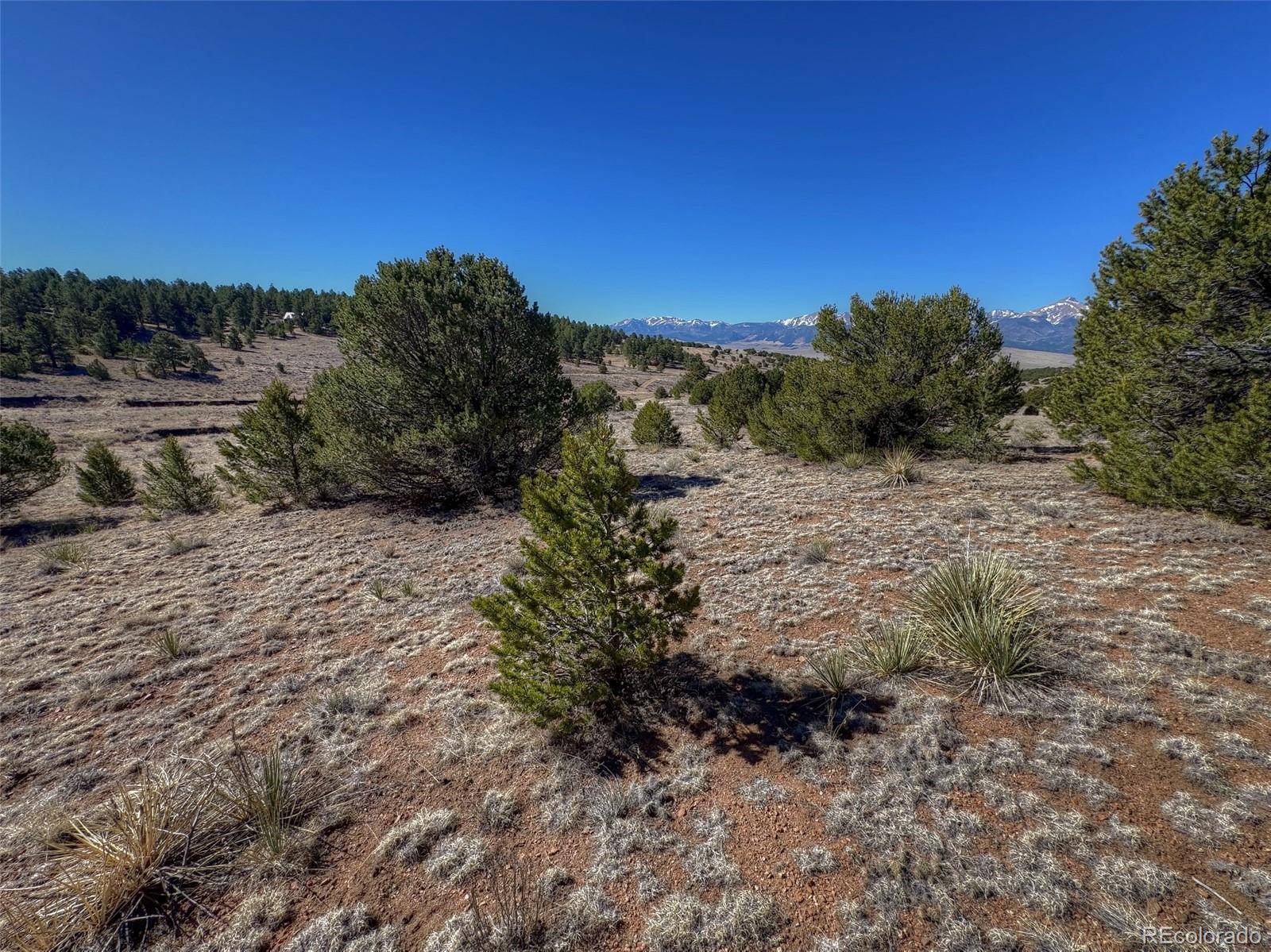 885 Crow Road Westcliffe CO 81252