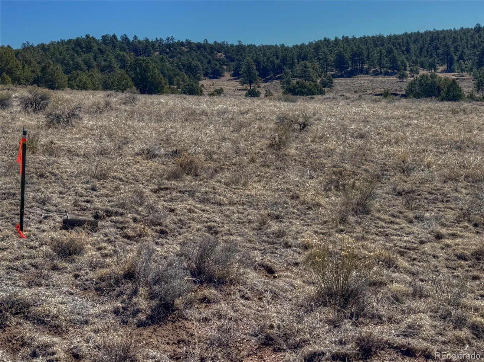 885 Crow Road Westcliffe CO 81252