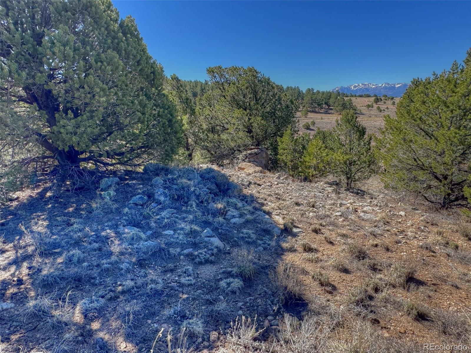 885 Crow Road Westcliffe CO 81252