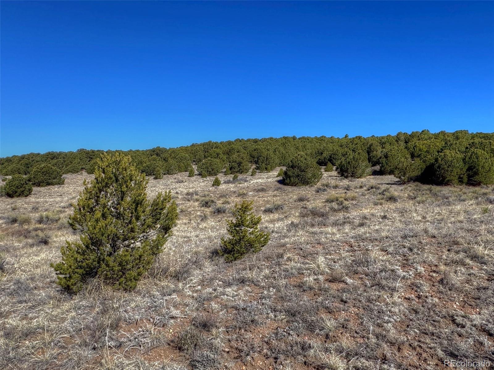 885 Crow Road Westcliffe CO 81252