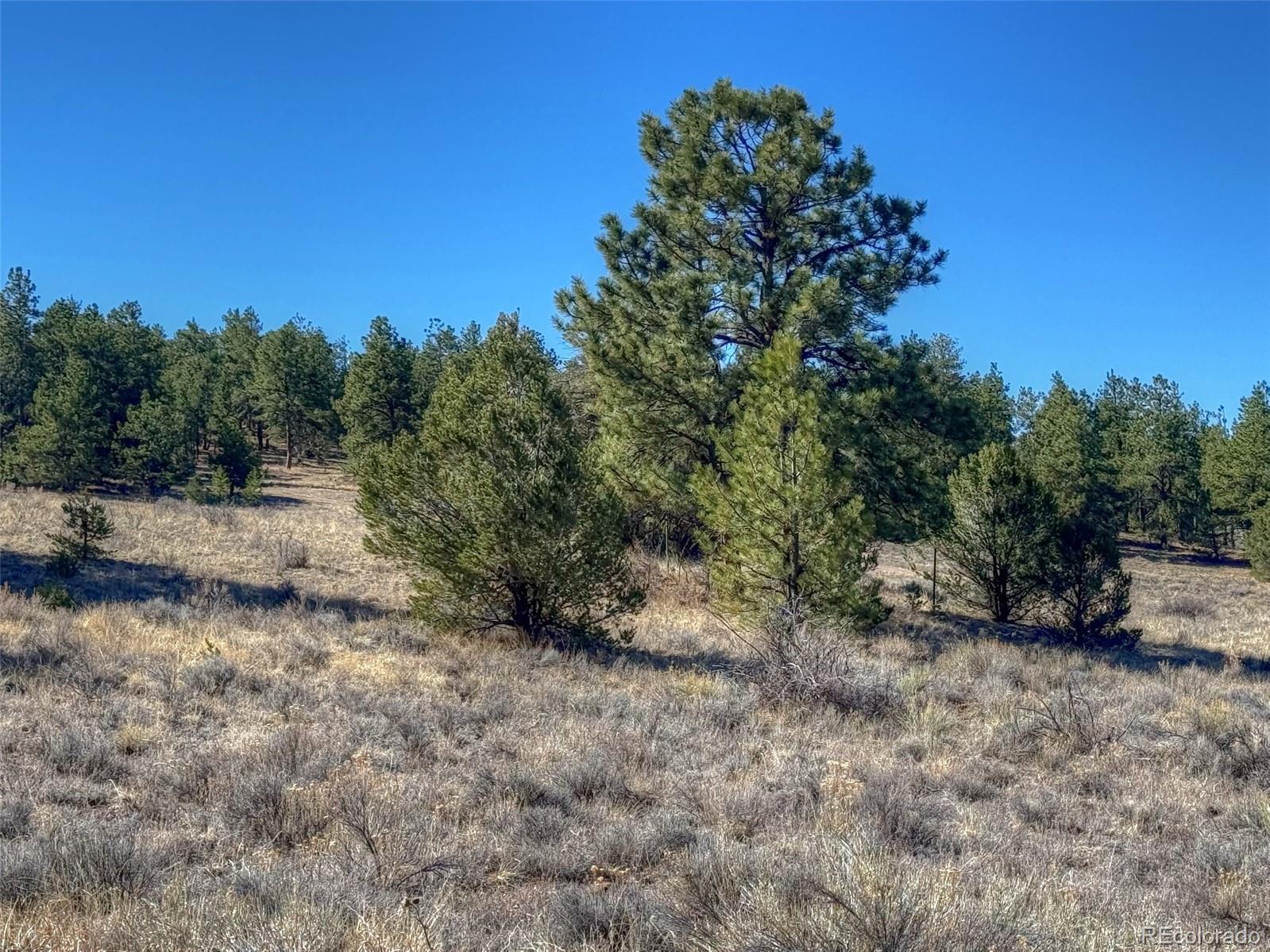 885 Crow Road Westcliffe CO 81252