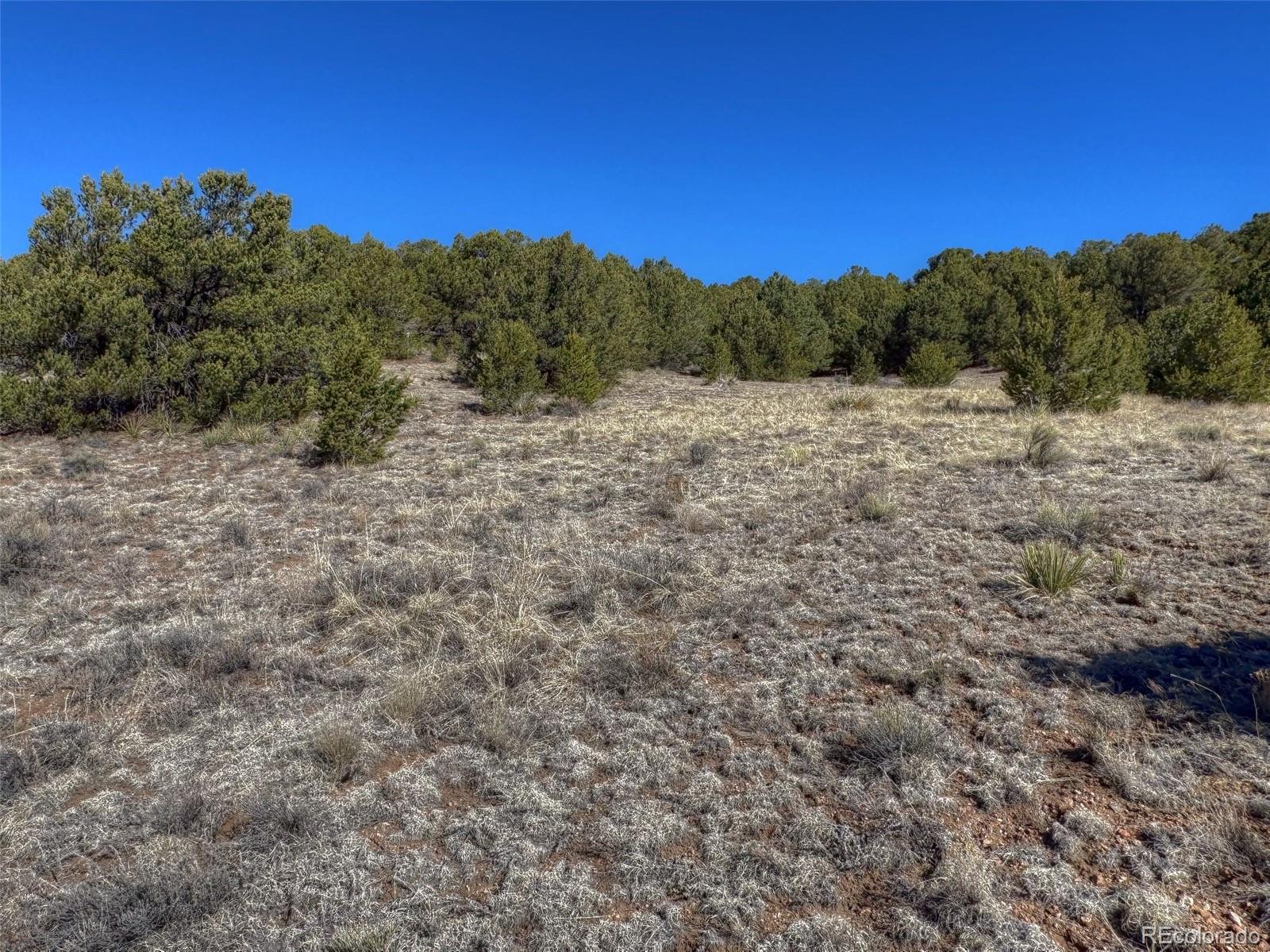 885 Crow Road Westcliffe CO 81252