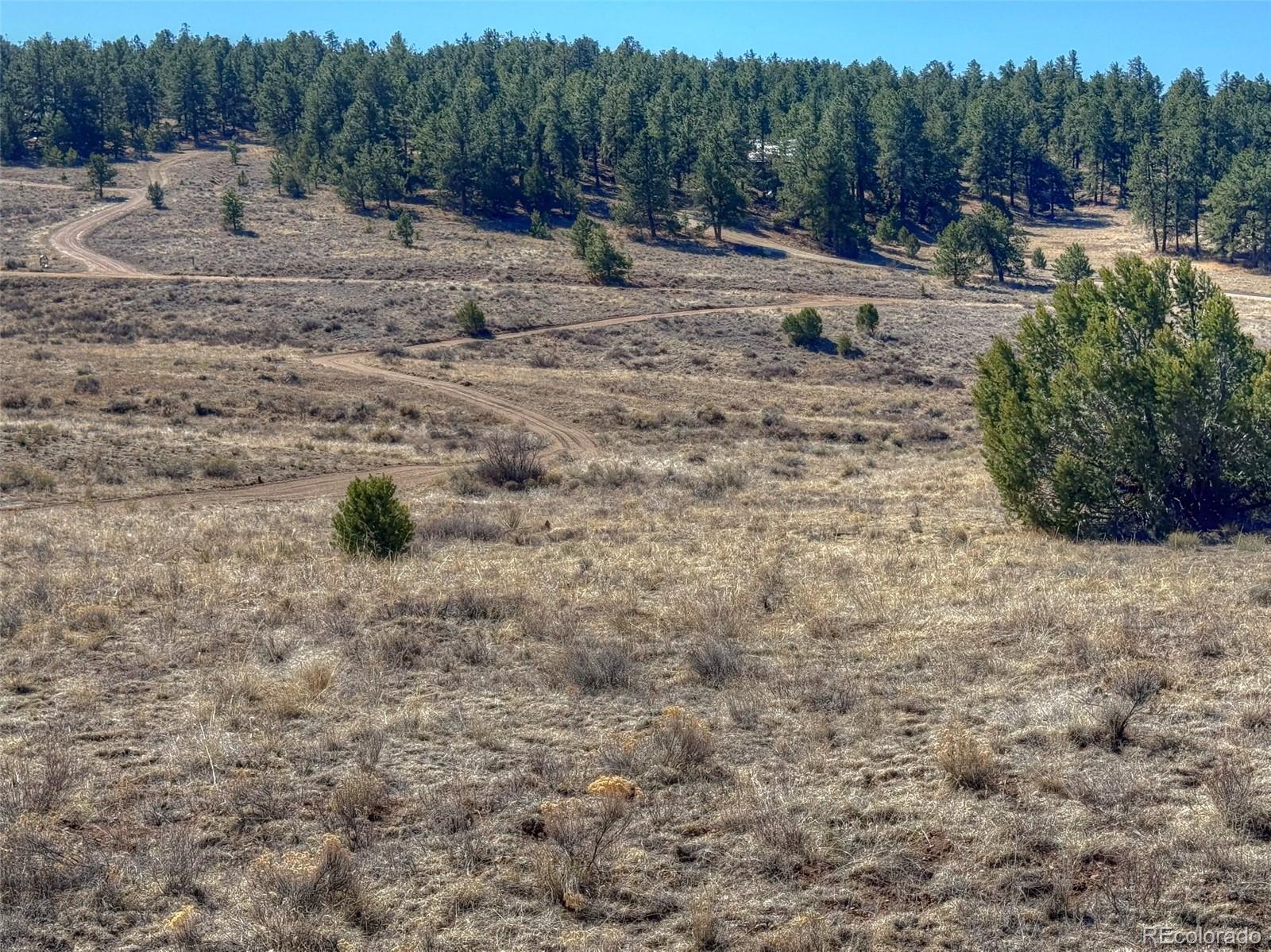 885 Crow Road Westcliffe CO 81252