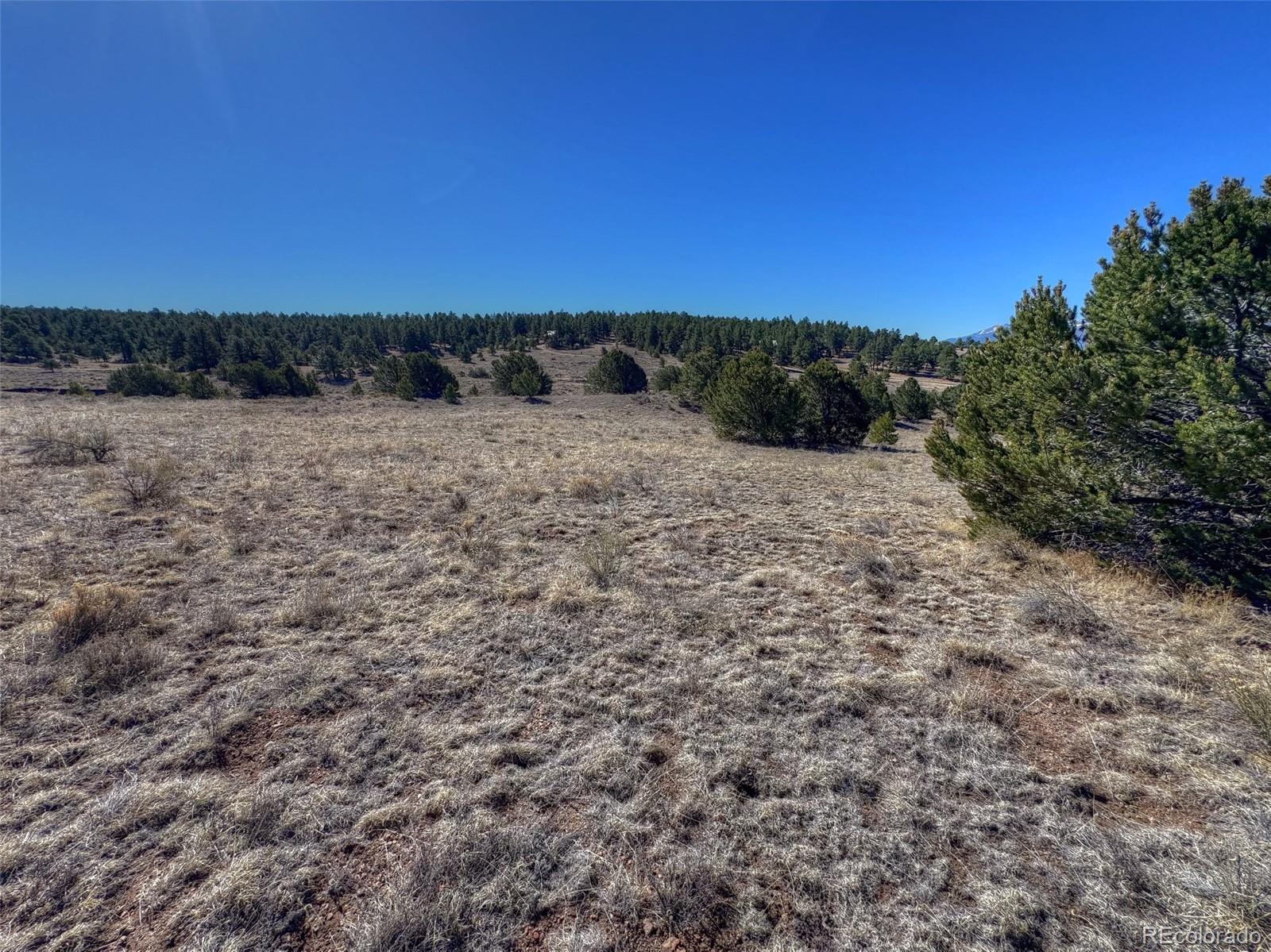 885 Crow Road Westcliffe CO 81252