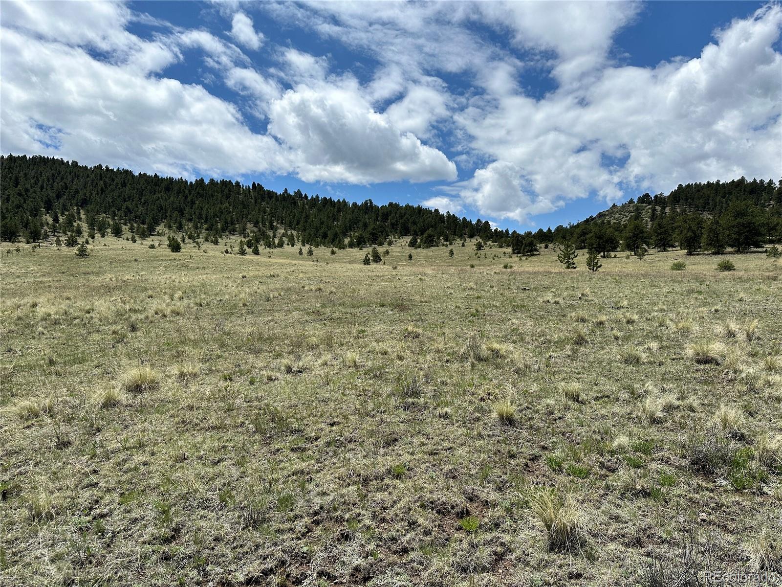 706 Bristlecone Road Guffey CO 80820