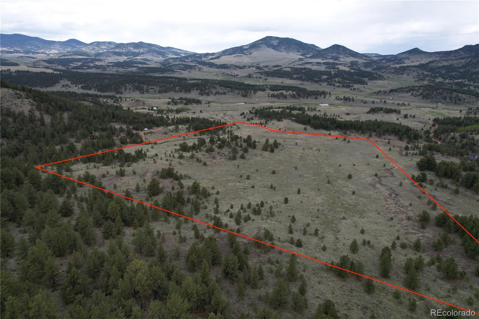 706 Bristlecone Road Guffey CO 80820