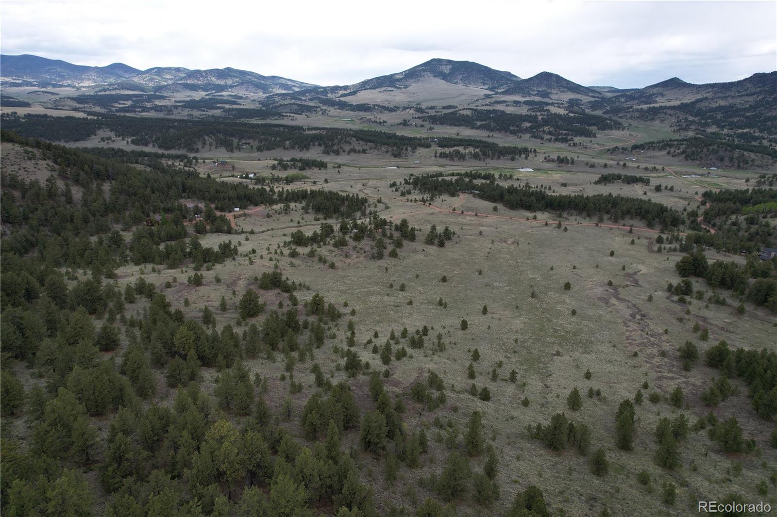 706 Bristlecone Road Guffey CO 80820