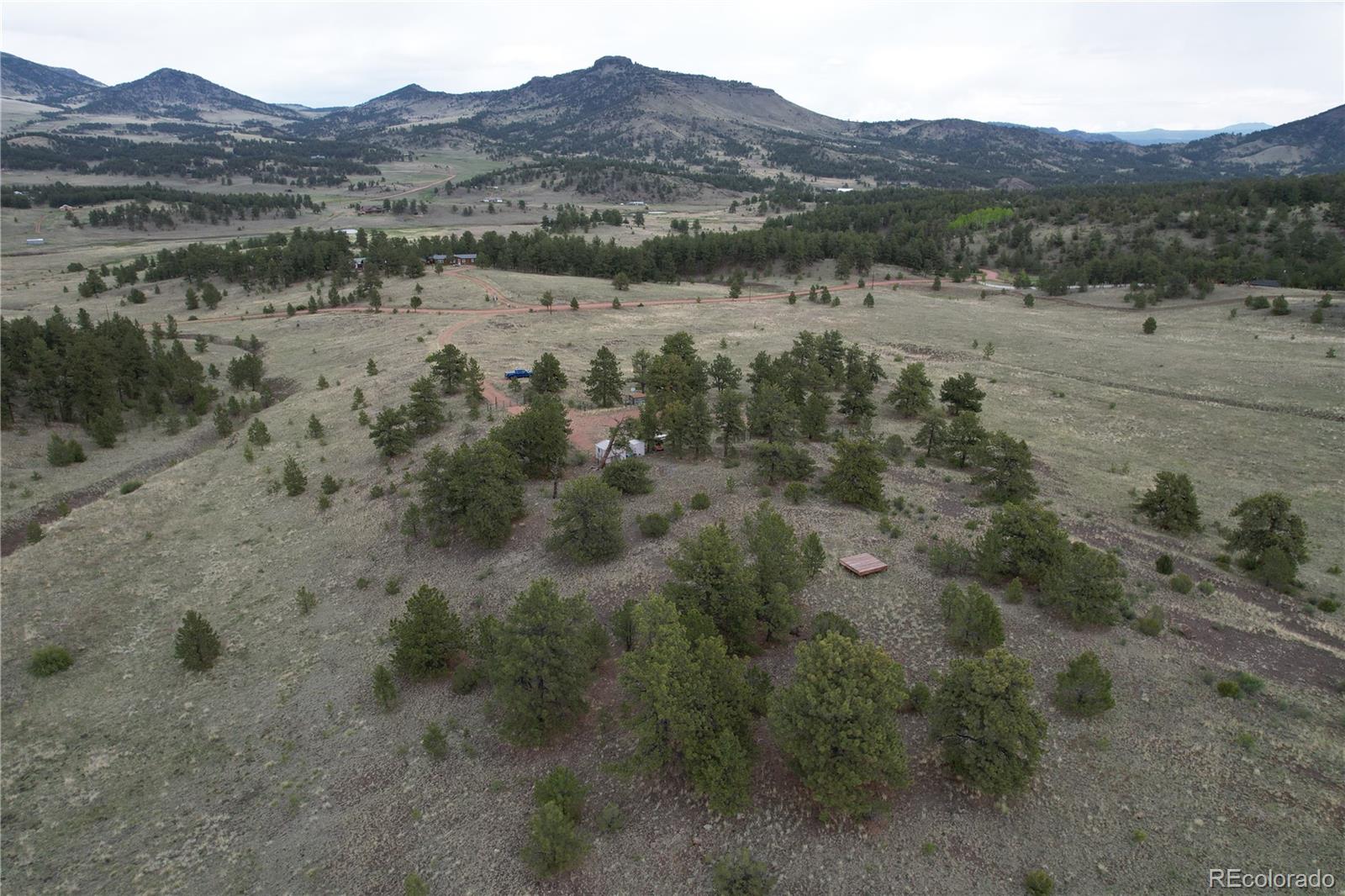706 Bristlecone Road Guffey CO 80820