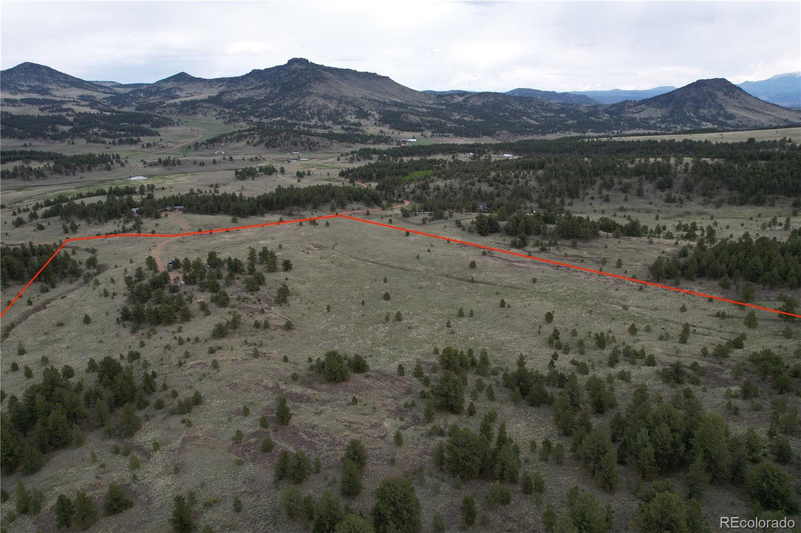 706 Bristlecone Road Guffey CO 80820