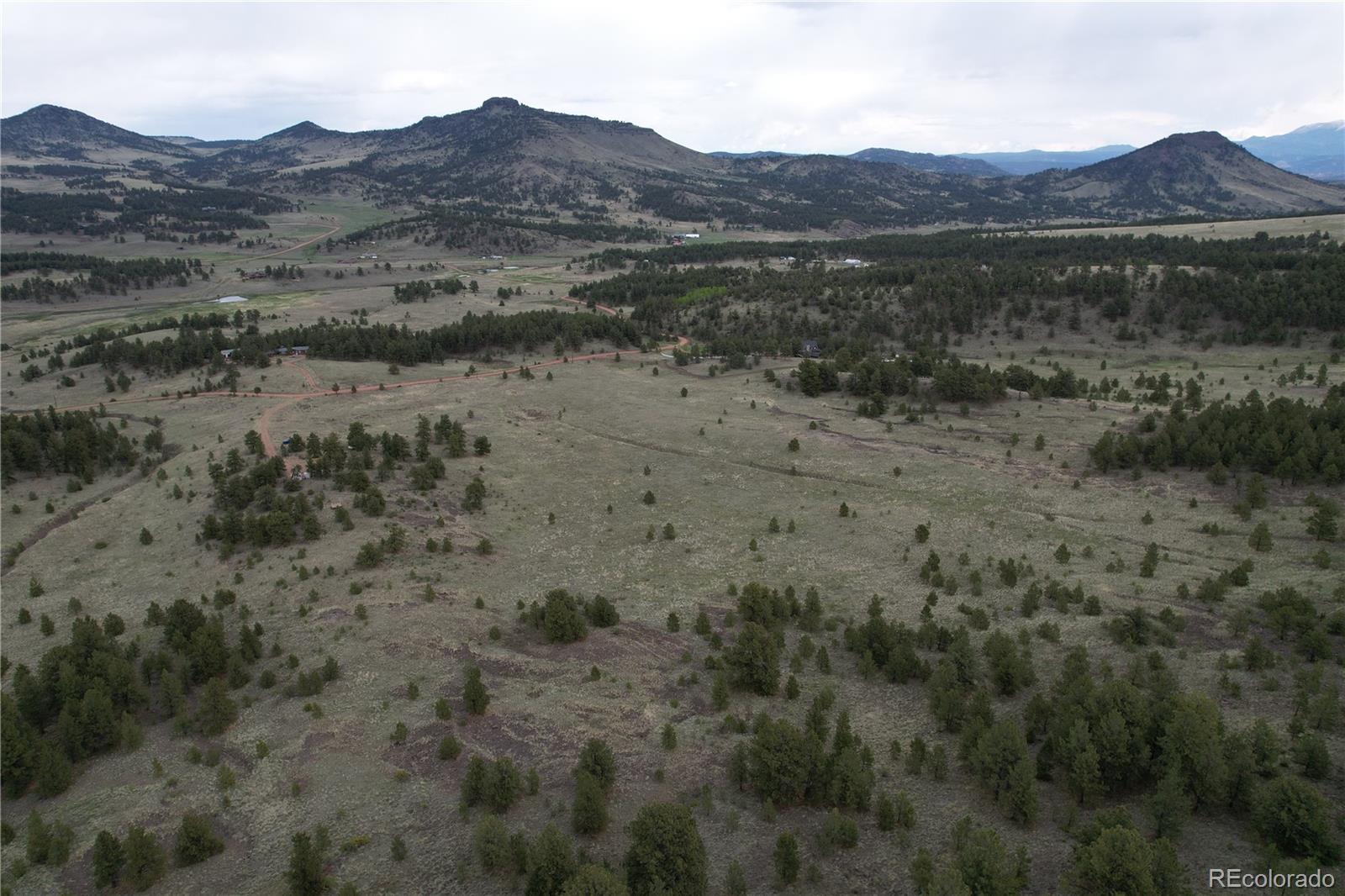 706 Bristlecone Road Guffey CO 80820