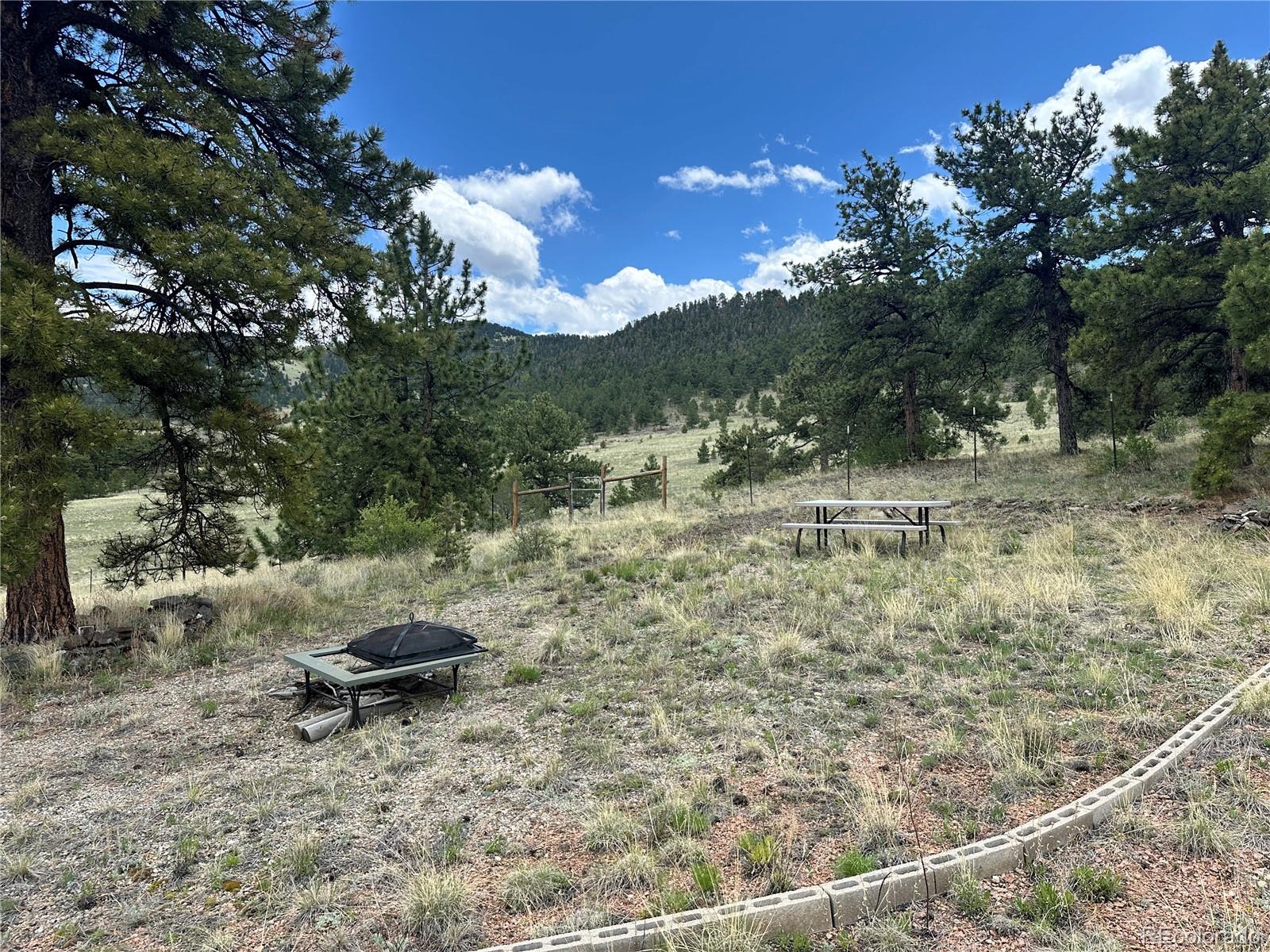 706 Bristlecone Road Guffey CO 80820