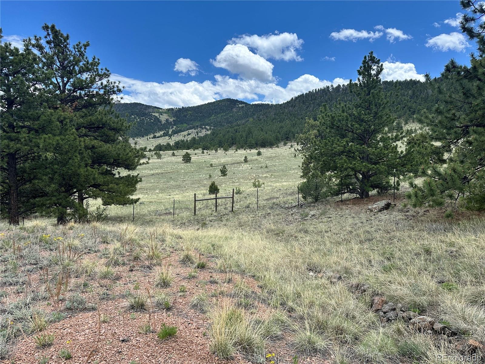 706 Bristlecone Road Guffey CO 80820