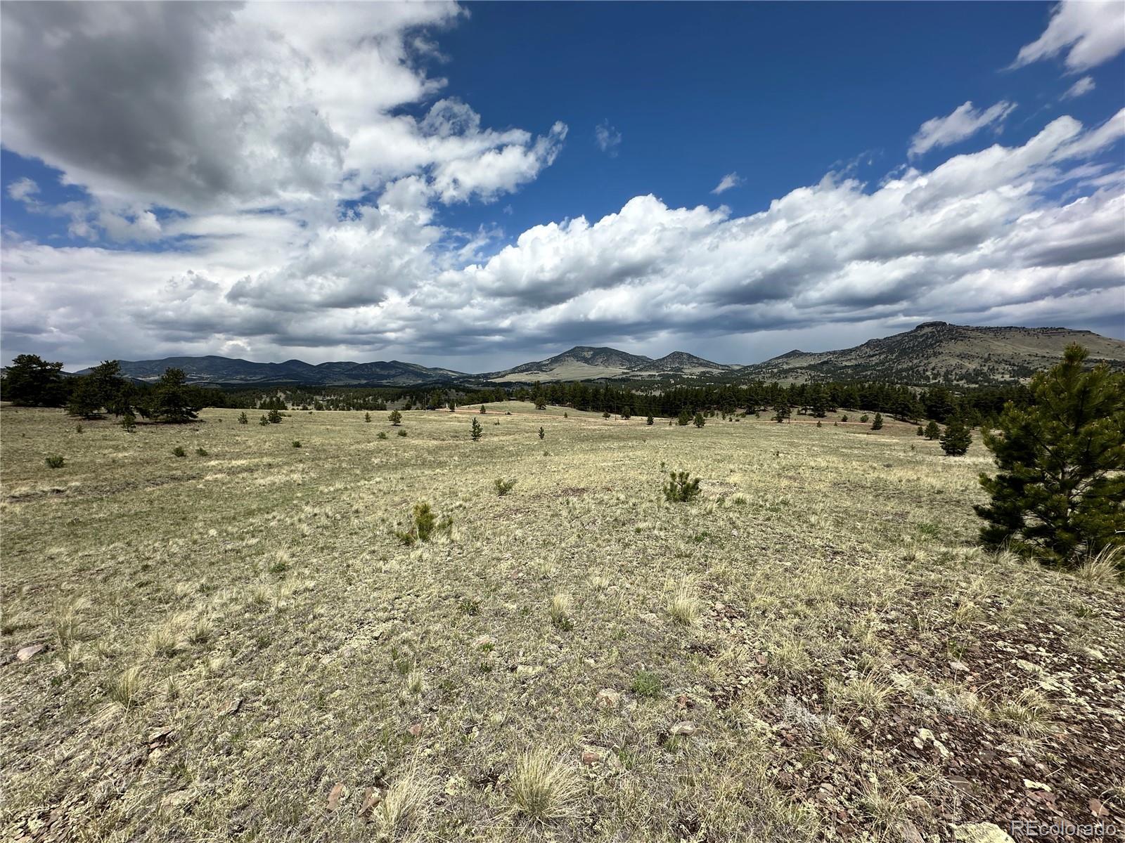706 Bristlecone Road Guffey CO 80820