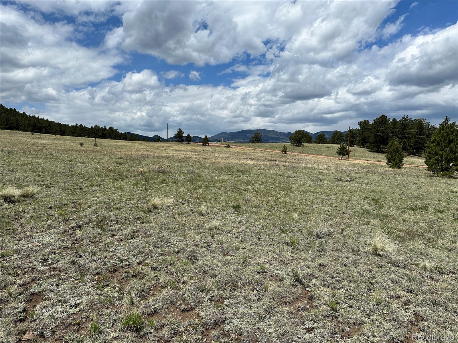 706 Bristlecone Road Guffey CO 80820