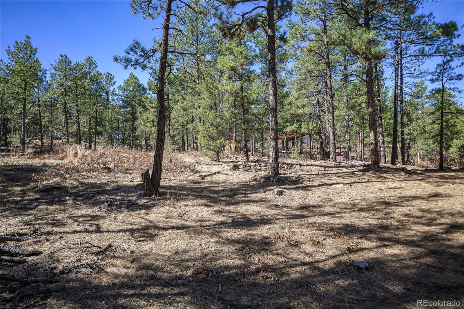 17990 King Road Weston CO 81091