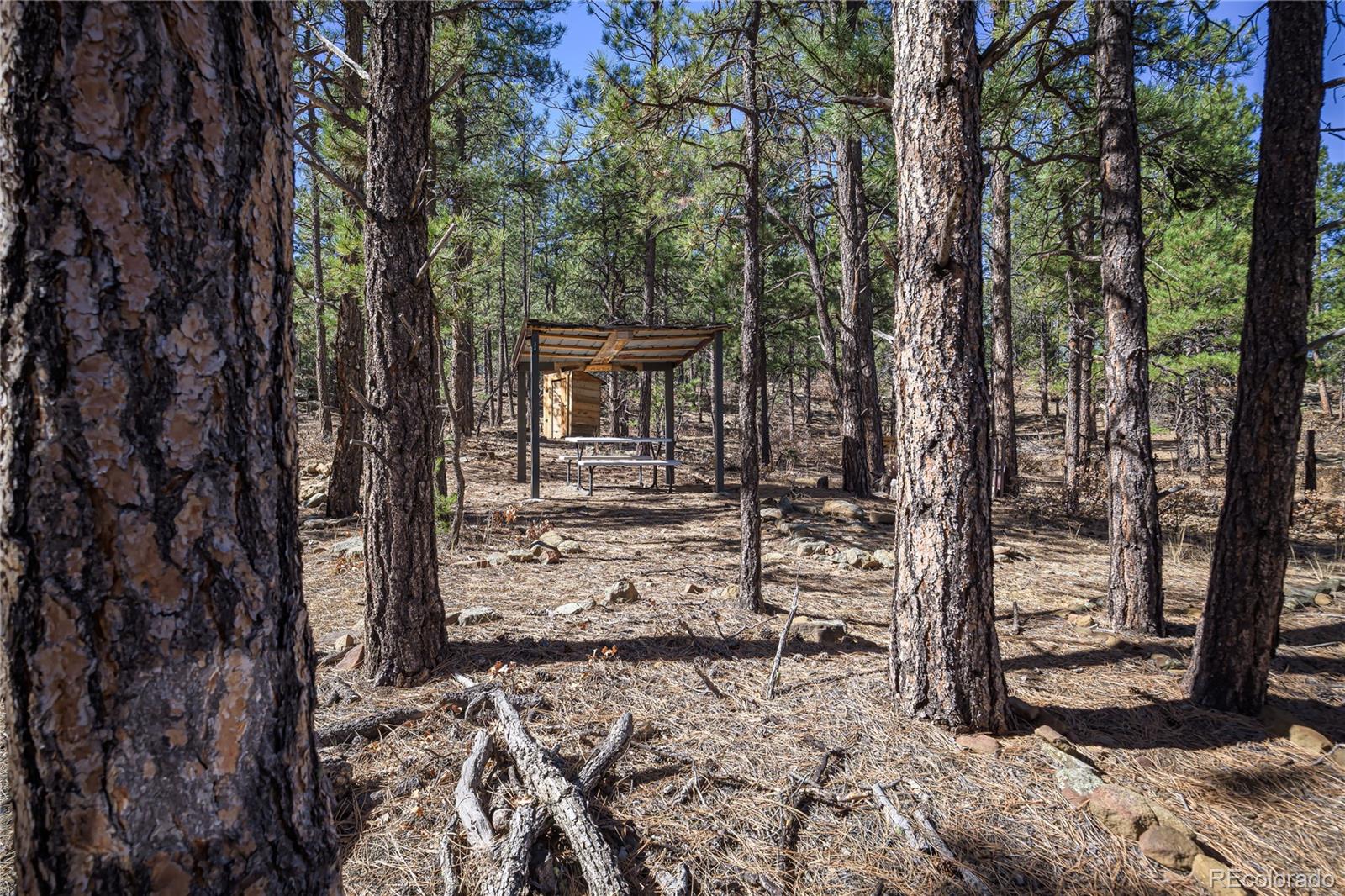 17990 King Road Weston CO 81091