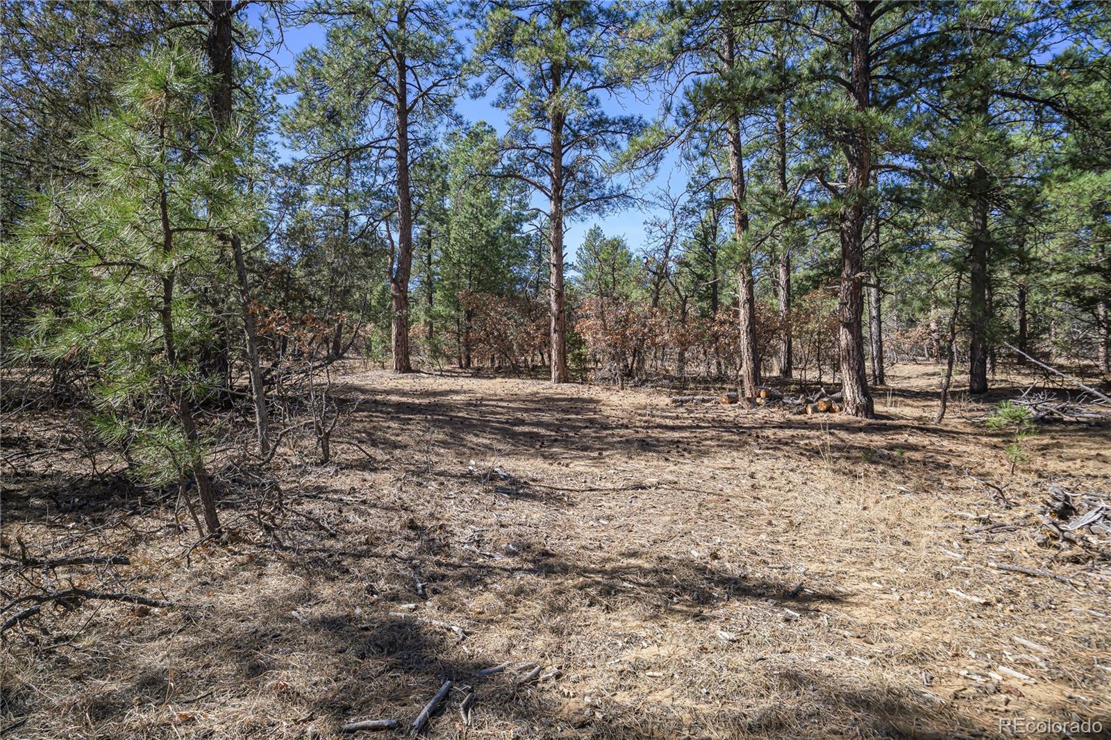 17990 King Road Weston CO 81091