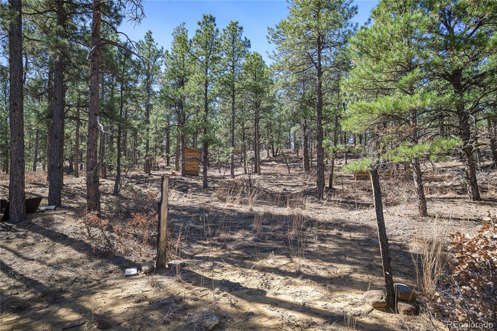 17990 King Road Weston CO 81091