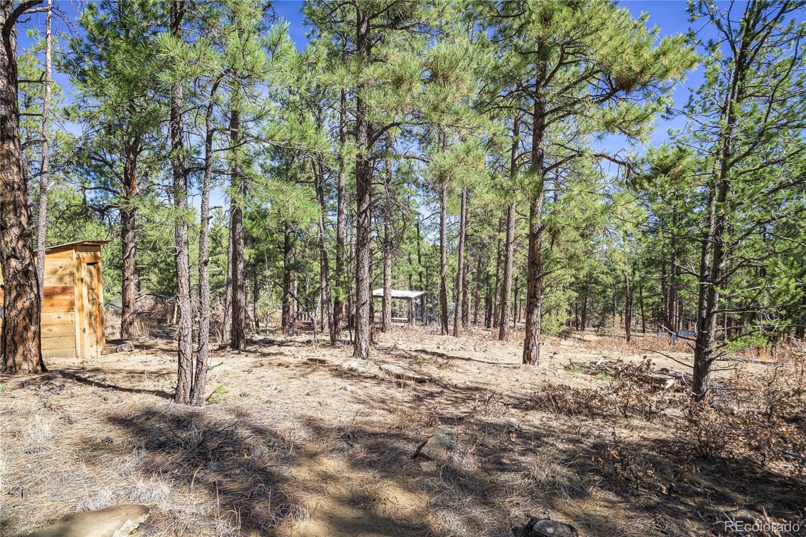 17990 King Road Weston CO 81091