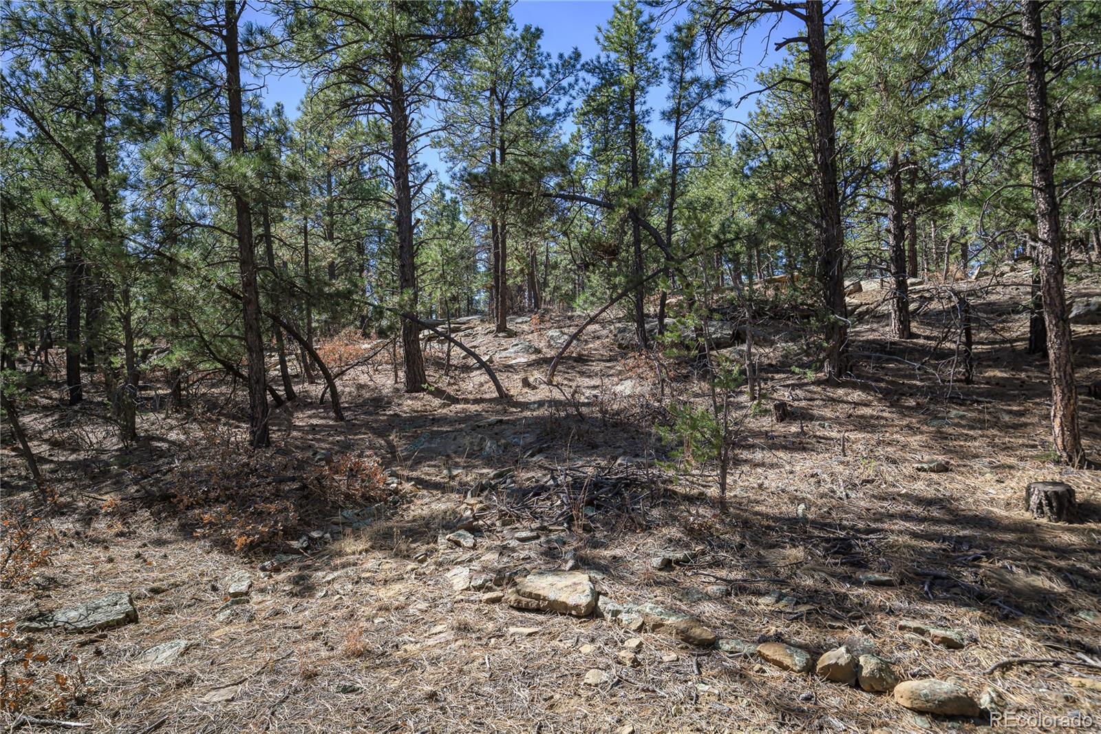17990 King Road Weston CO 81091