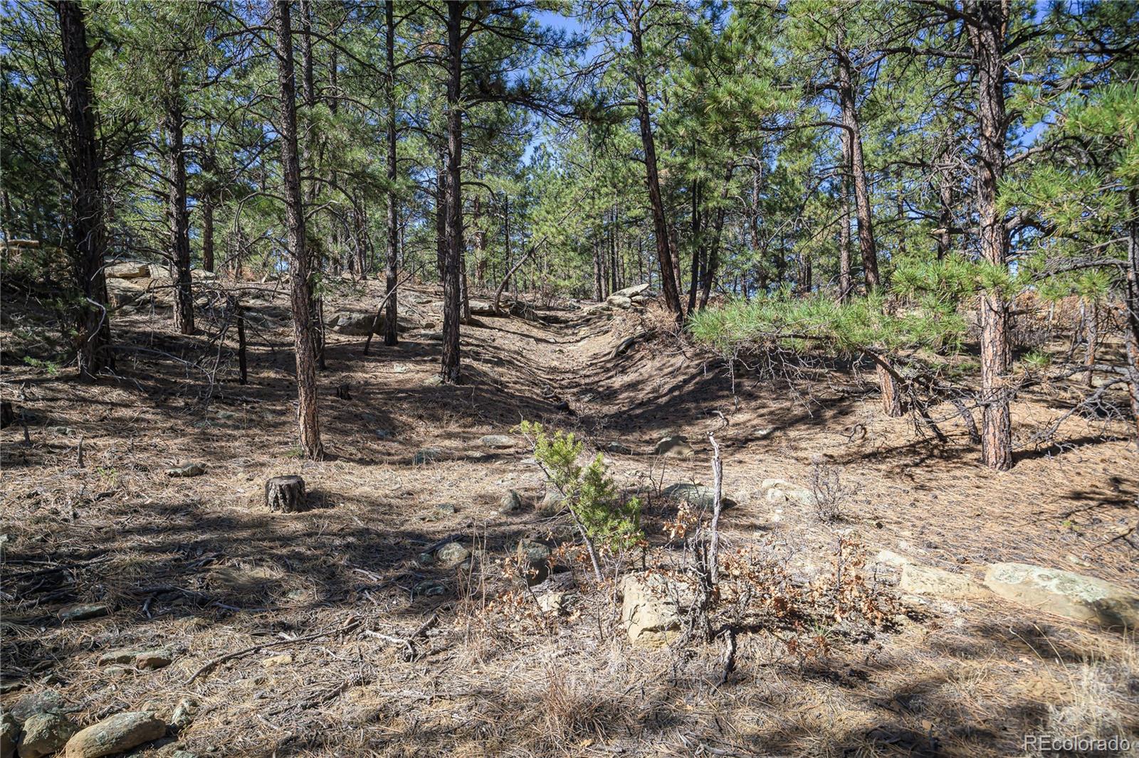 17990 King Road Weston CO 81091