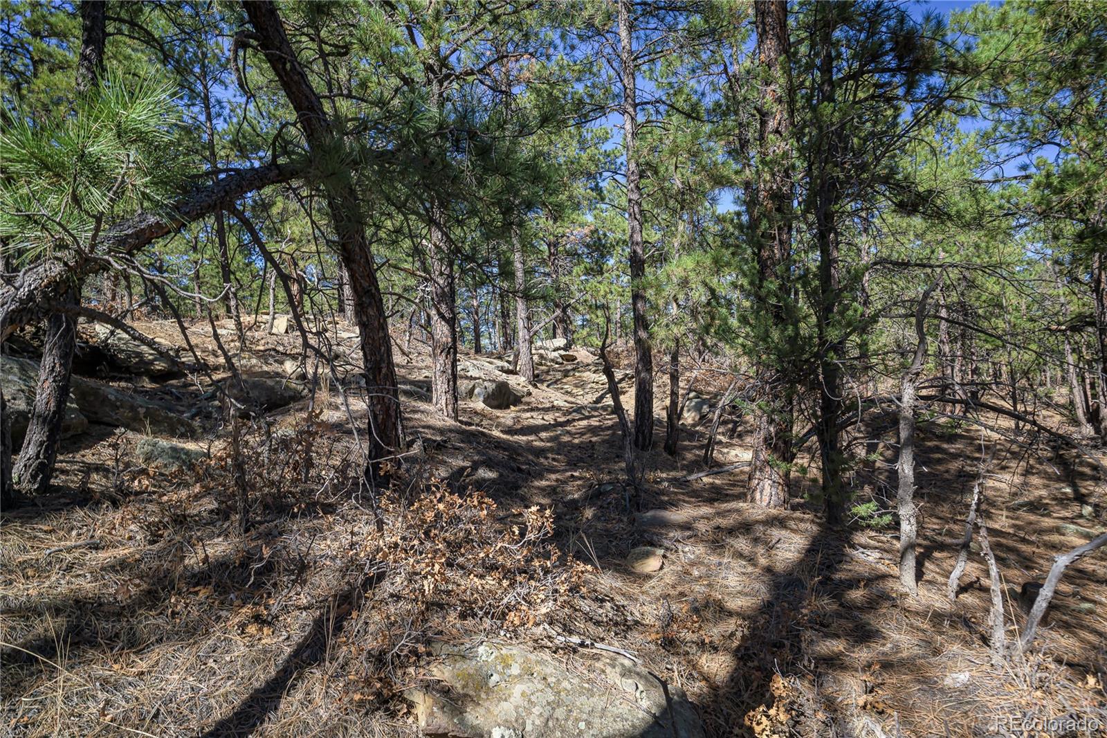17990 King Road Weston CO 81091