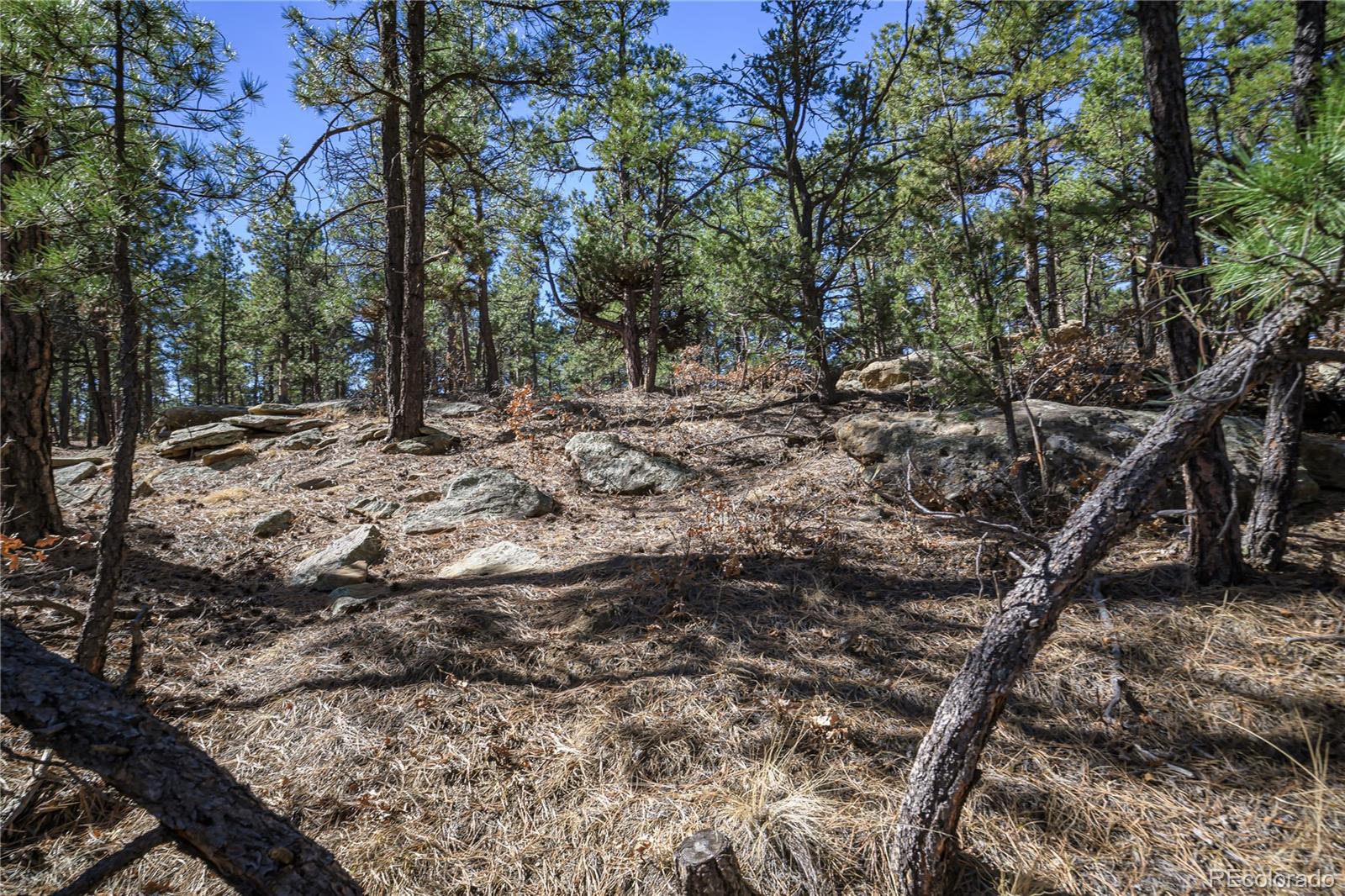 17990 King Road Weston CO 81091