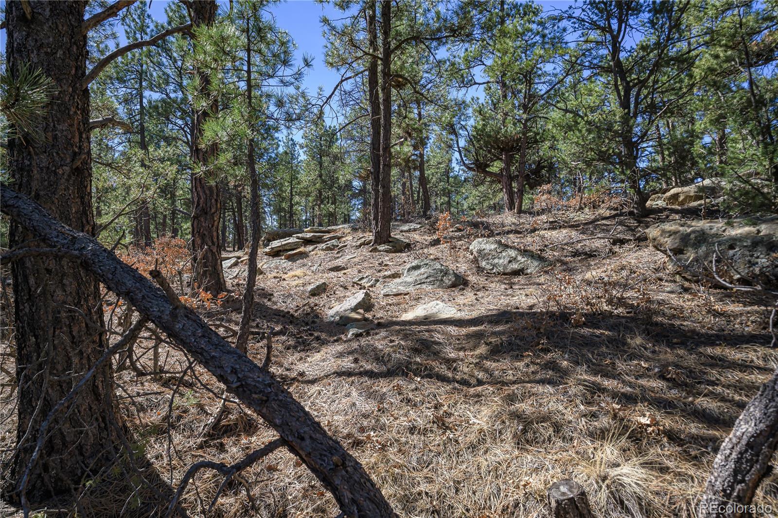 17990 King Road Weston CO 81091